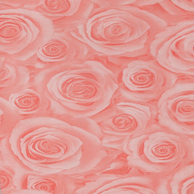 4921502157308167.jpg