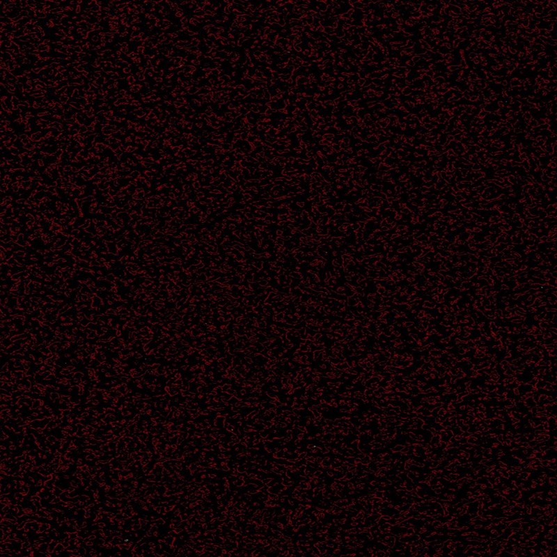 5391502172565803.jpg