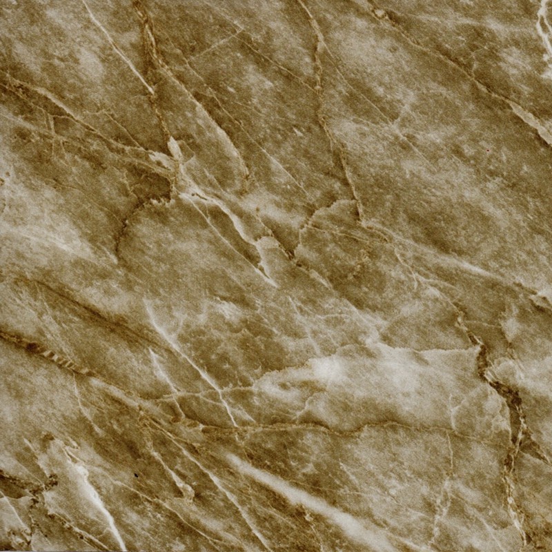 5981502158372817.jpg