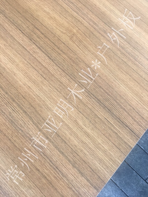 5991503365784546.jpg